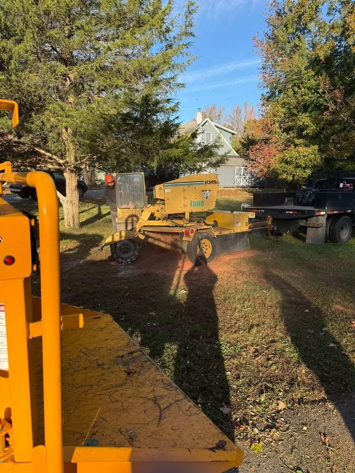 All Photos for Hingewood Tree Service in Salem, NJ