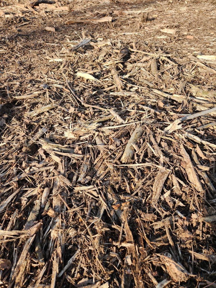 All Photos for Northern Ridge Dock & Lift in McGregor, MN