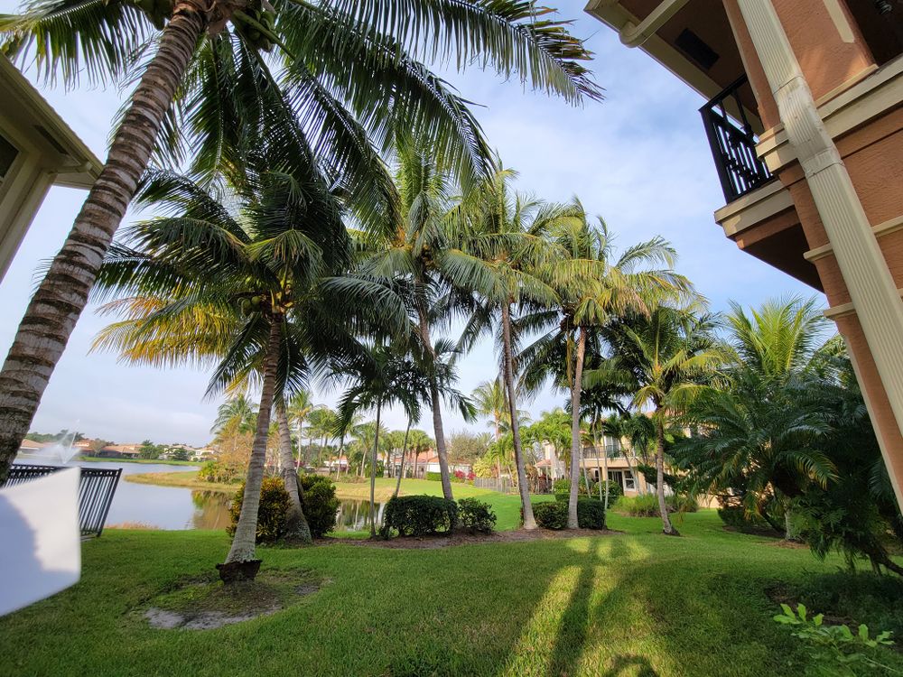 All Photos for L & J Palm Tree & Lawn Care Services in Jupiter, FL