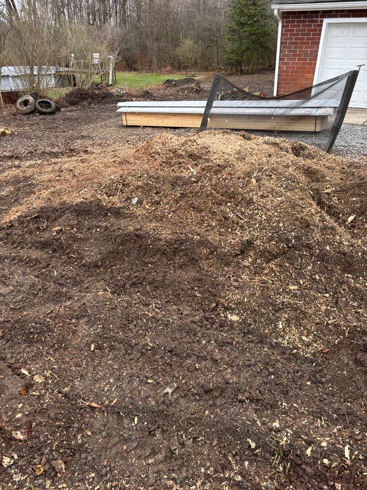 All Photos for Dean's Stump Removal in Youngstown, OH