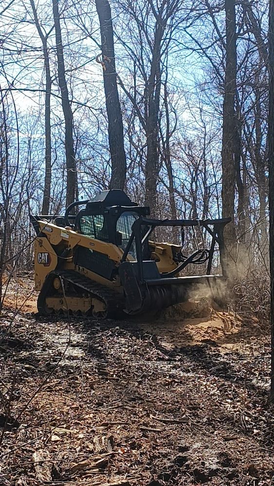 Our Stump Grinding service efficiently removes tree stumps, enhancing the safety and appearance of your yard while preparing the land for landscaping or construction. Trust us for quick, clean, and professional results. for Willing Trucking & Excavating in Evansville, WI
