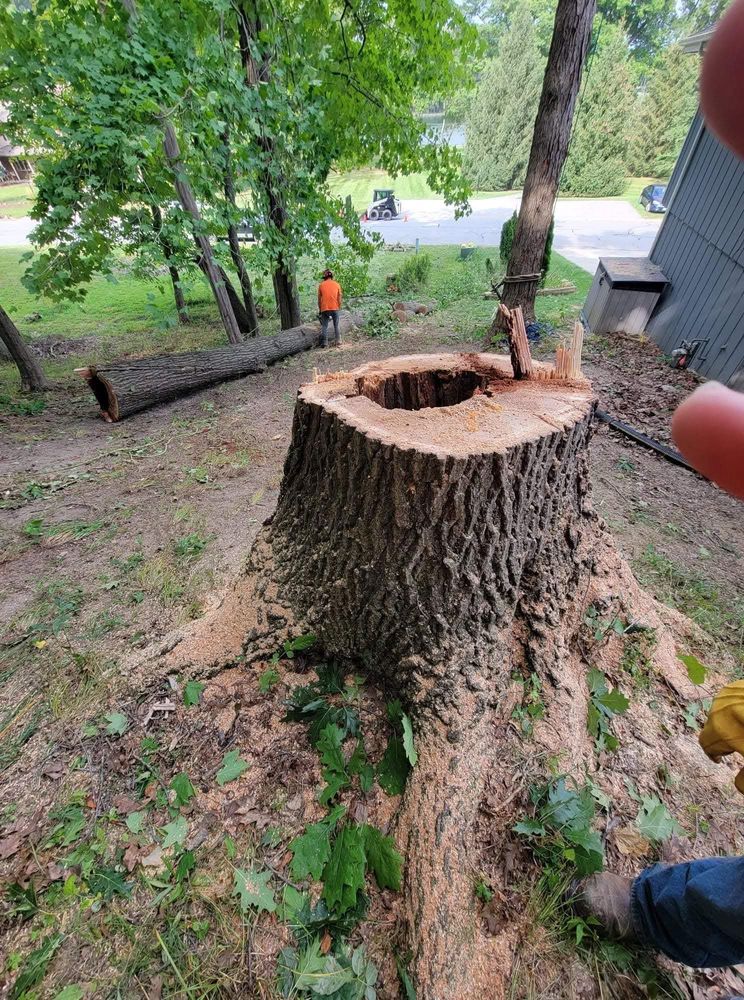 Our stump removal service efficiently eliminates unsightly tree stumps, enhancing your landscape's beauty and usability. Trust our expert team to safely handle all types of stump removals for a pristine yard. for Highborn Tree Service in Wheatfield, IN