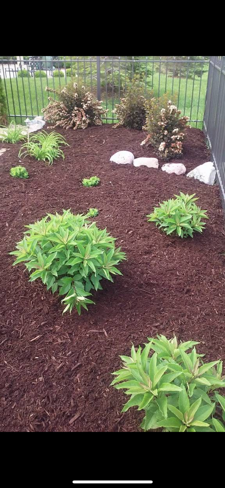 All Photos for MDR Landscaping in Urbana, IL