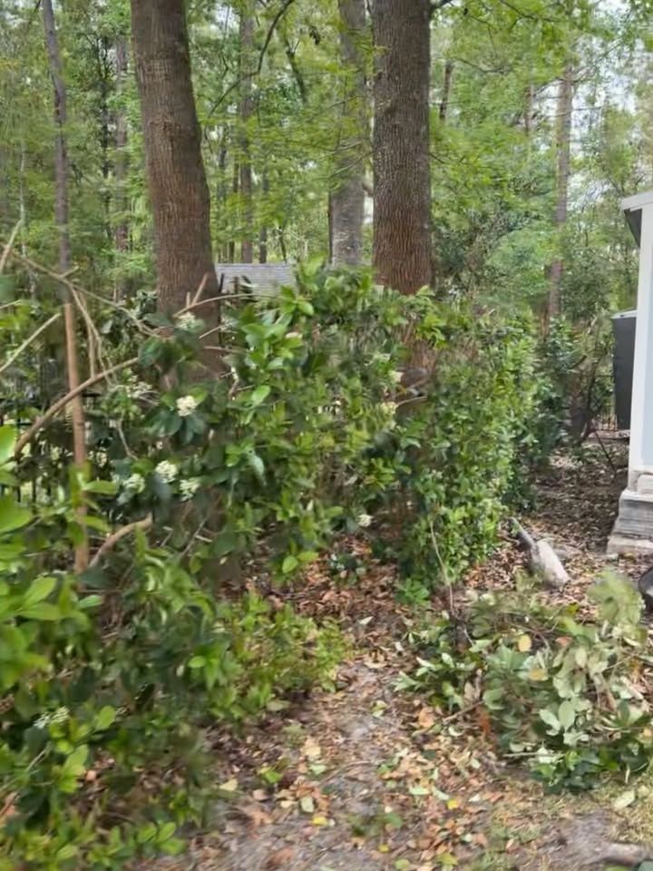 All Photos for Whole 9 Yards Services LLC in Green Cove Springs, FL