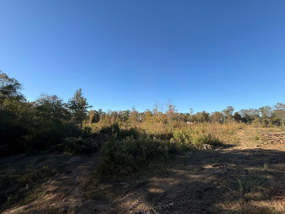 All Photos for Mud Creek Vegetation Management in Russellville, AL