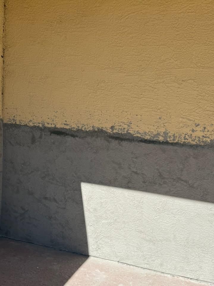 All Photos for Escorpio Painting in Tampa, FL