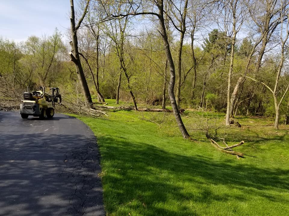 Our Lot Clearing service expertly removes unwanted vegetation and debris to prepare your property for projects like construction or landscaping. We ensure a clean slate while preserving valuable trees and improving site safety. for Olson Tree Service, Inc in Winnebago County, IL