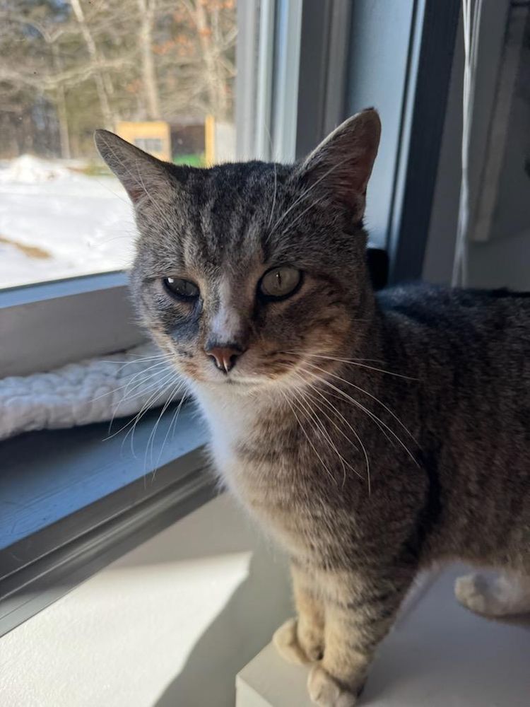 All Photos for Sullivan Sanctuary of Maine in Brunswick, ME