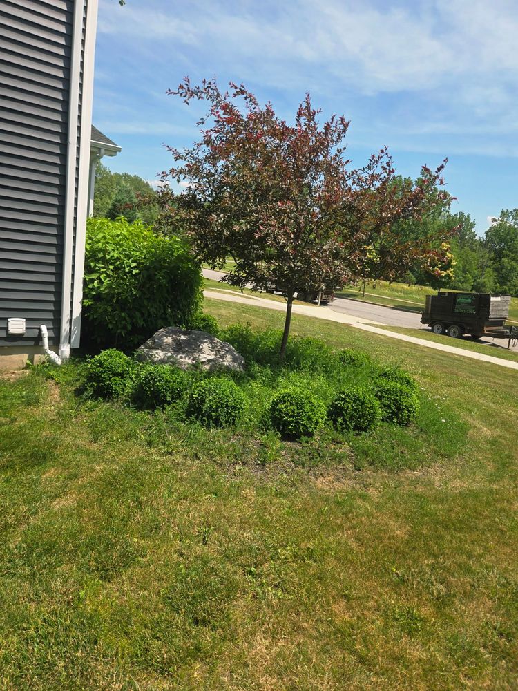 All Photos for Hauser's Complete Care INC in Lancaster, NY