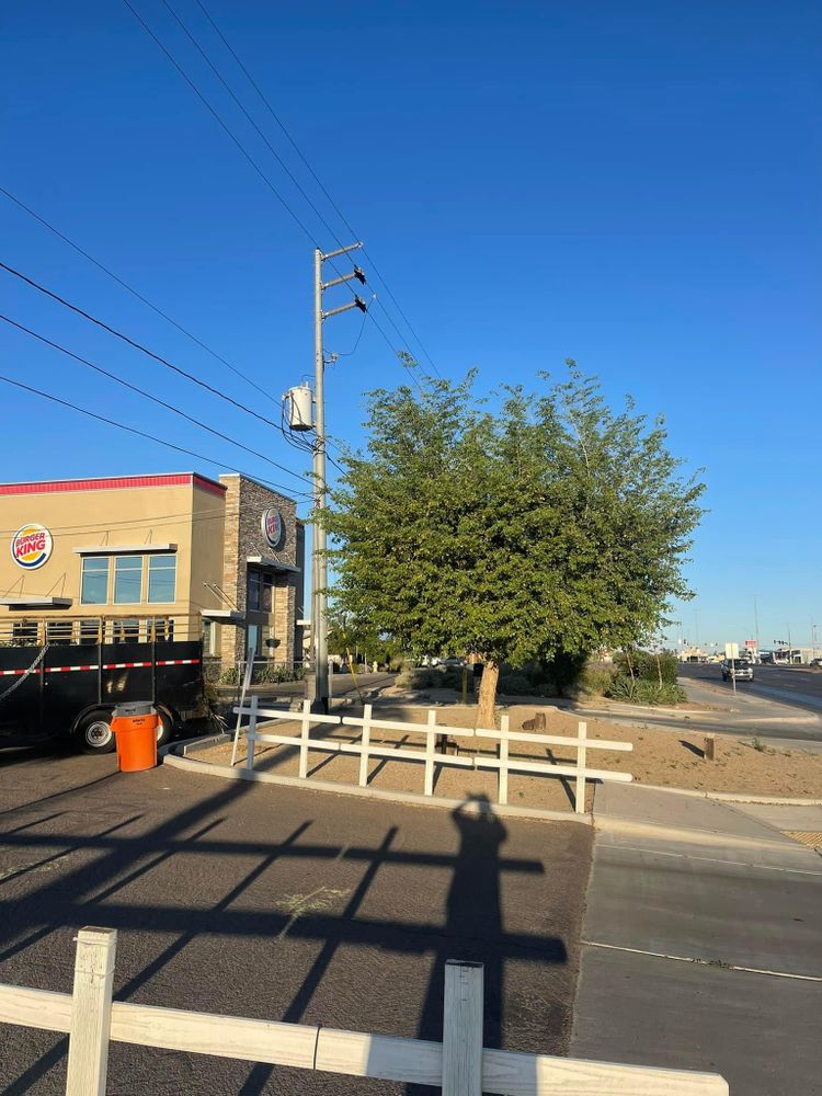 All Photos for Oliver L. Palm & Tree services in Yuma County, AZ