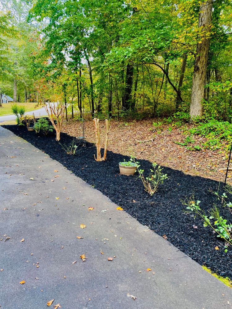 All Photos for Taylormade Lawn Management in Clarkesville, GA