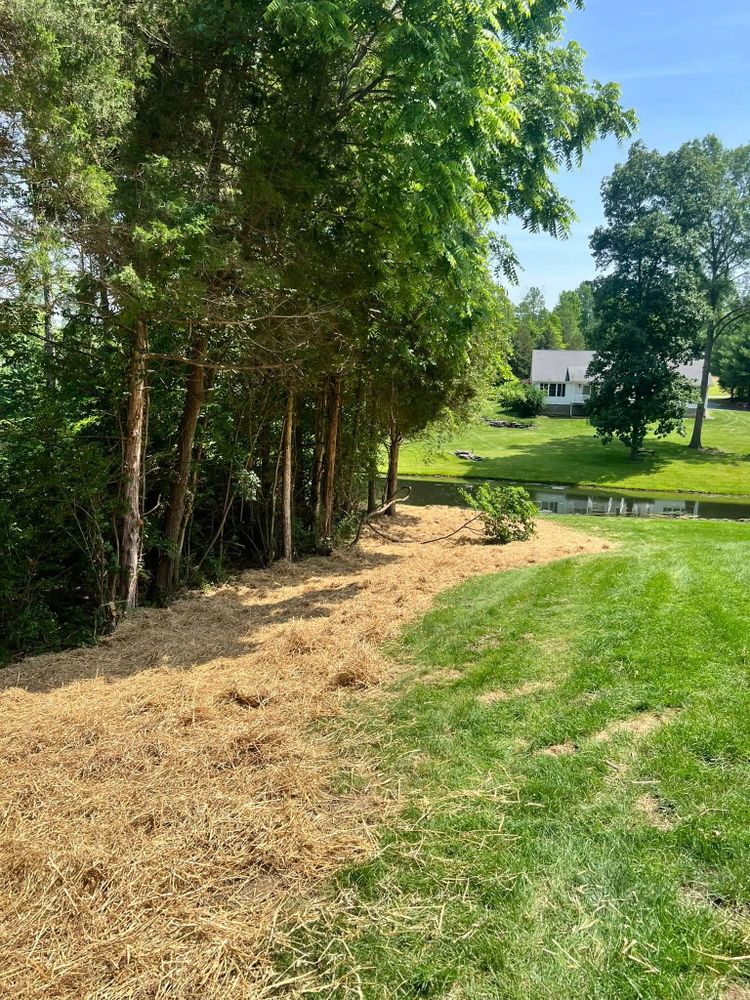 Enhance your landscape with our expert Mulch Installation service. Our team efficiently applies premium mulch to enrich soil, retain moisture, and beautify your garden, ensuring optimal tree health and curb appeal. for Kadin’s Tree Service in North Vernon, IN