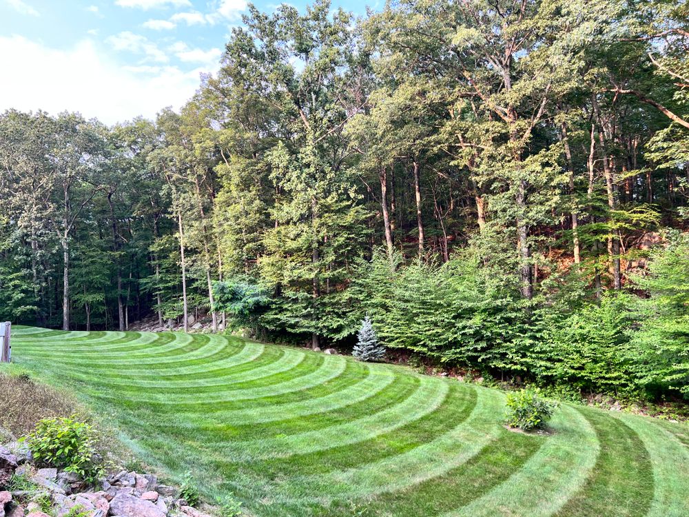 Lawn Care for LJ Lawn & Property Maintenance, Inc. in Cold Spring, New York