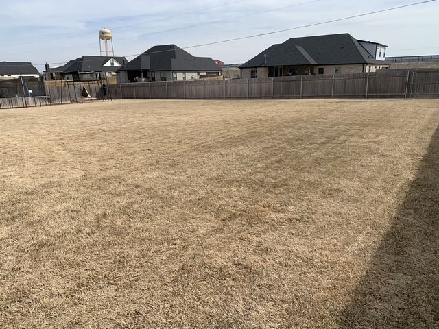 All Photos for Scalpel Lawn Service in Temple, TX