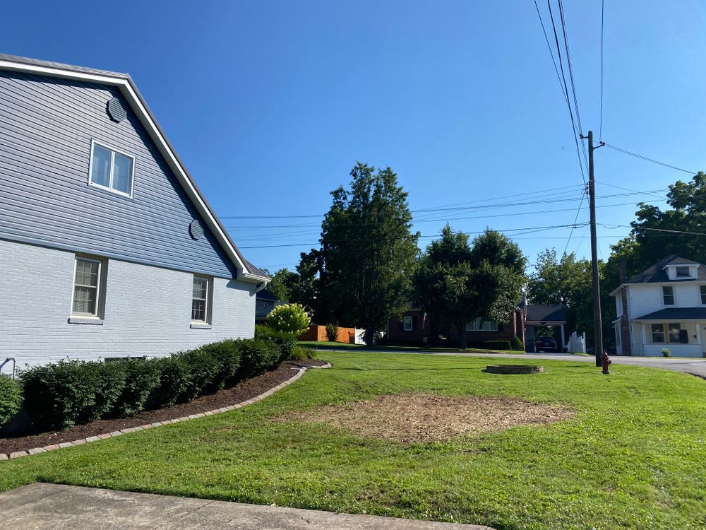 All Photos for Houtz Tree Service in Lexington, KY