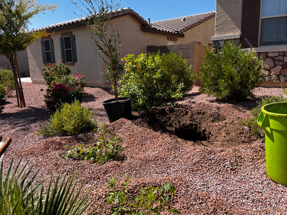 All Photos for AZ Tree & Hardscape Co in Surprise, AZ