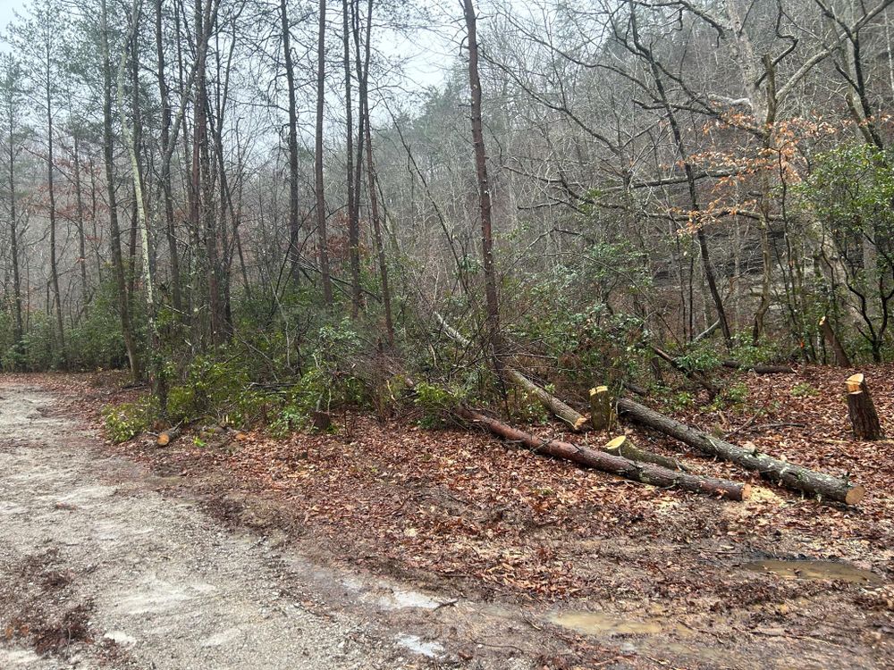 All Photos for Z's Land Management & Forestry Mulching in Smithville, TN