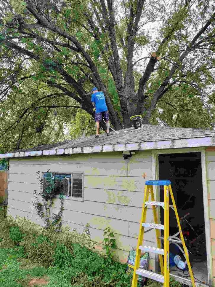 Roof Washing for Premier Partners, LLC. in Volo, IL