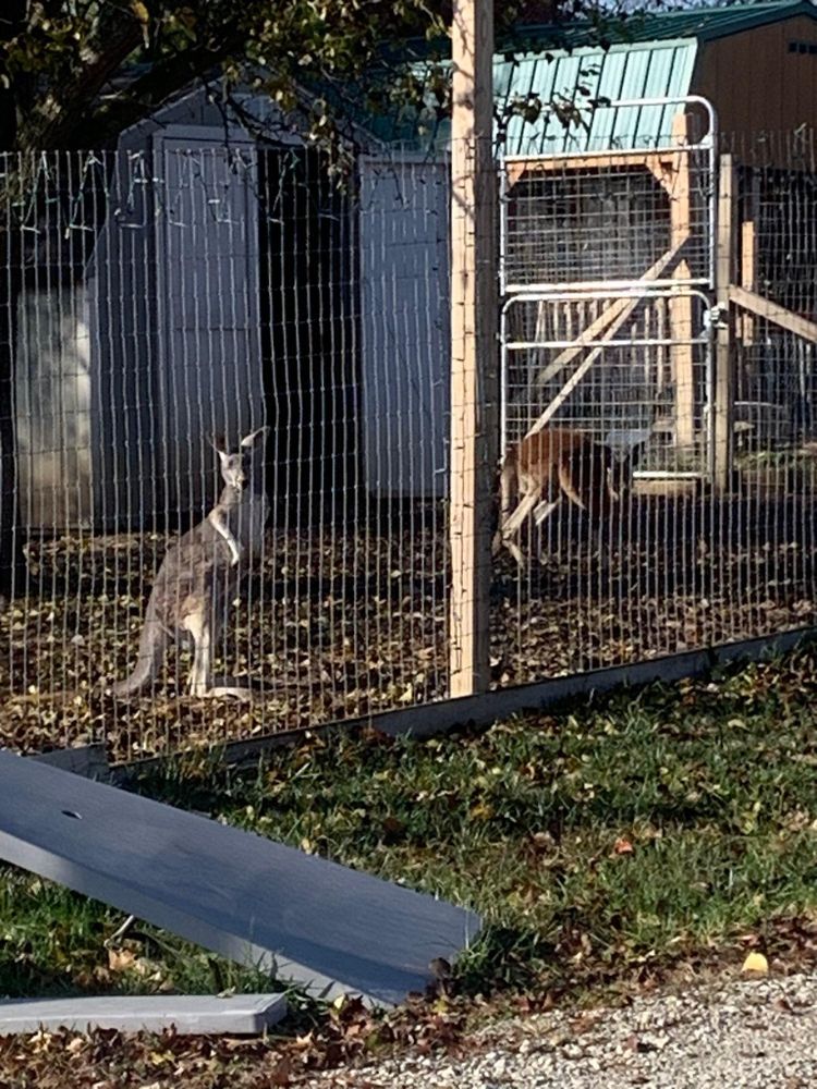 All Photos for Custom Carports and Shelters in Greensburg, IN