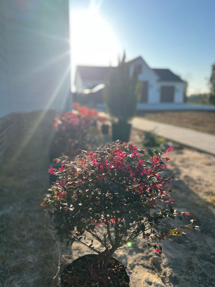 All Photos for Roberts Lawn & Landscape in Steinhatchee, FL
