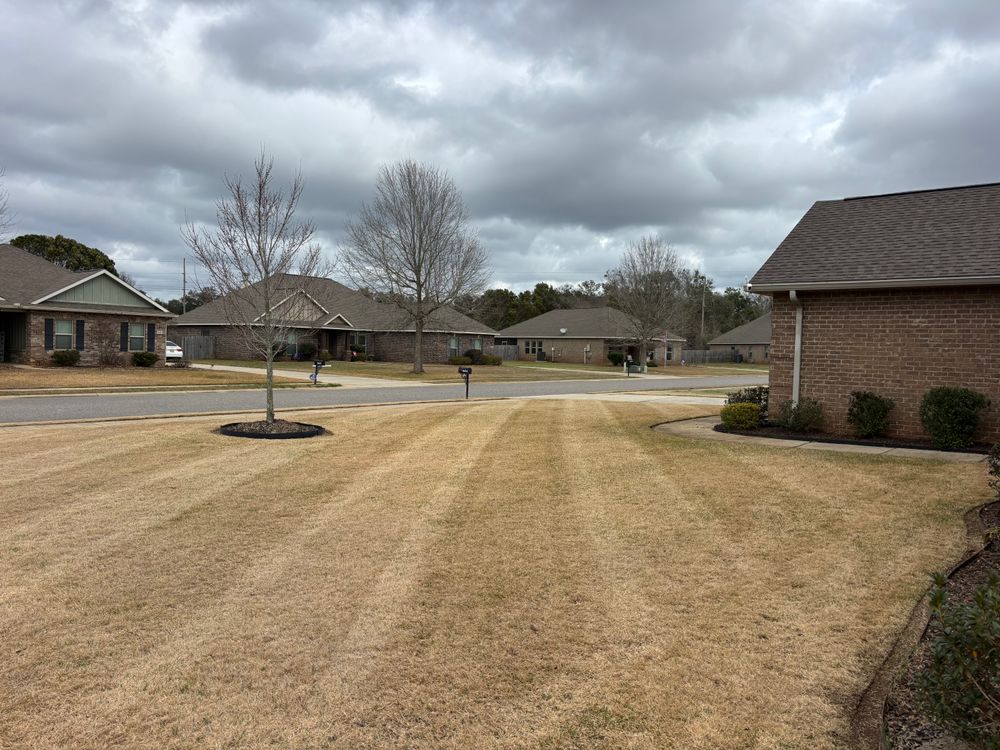 All Photos for Enhanced Landscape in Daphne, AL