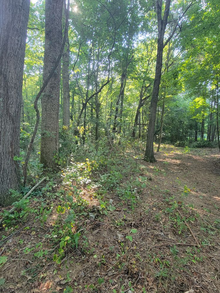 All Photos for Z's Land Management & Forestry Mulching in Smithville, TN