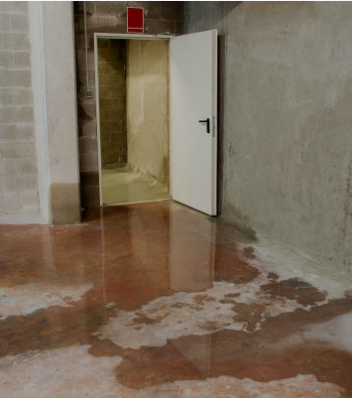 Keep your basement dry year-round with trusted waterproofing services in Vermont and New Hampshire. We stop leaks, seal cracks, and install reliable drainage systems.

Need “basement waterproofing near me”? We serve Springfield VT, Claremont NH, and nearby areas. for First Response Reconstruction LLC in New Hampshire, NH