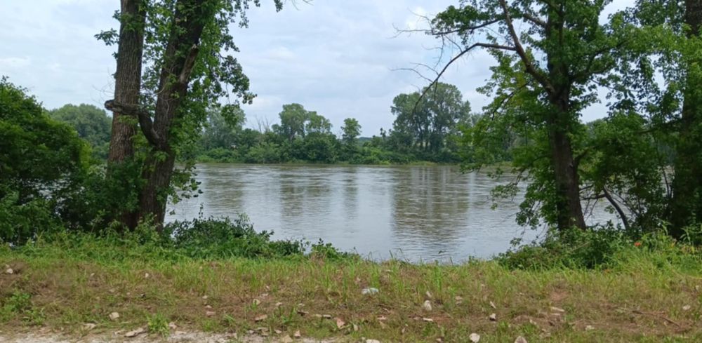 All Photos for Lawn Ranger Yard And Tree Service LLC in Ottumwa, IA