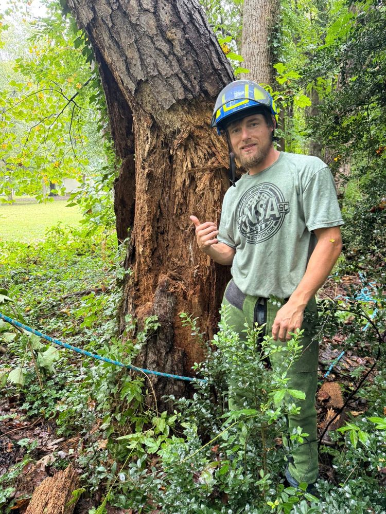 Down South Tree Care and Landscaping team in Maiden, NC - people or person