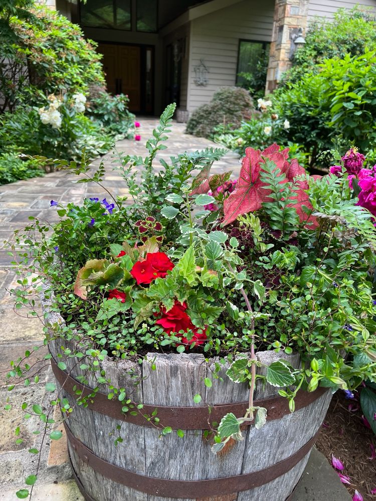 All Photos for Sustainable Lawn and Landscape in Banner Elk, NC