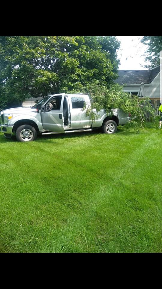 Mowing is a professional service that provides a thorough and expert mowing service for your lawn. We will work with you to create a custom mowing plan that meets your needs and schedule. We use only the highest quality equipment and materials to ensure your lawn looks its best. for Sunrise Property Services in Ann Arbor, MI