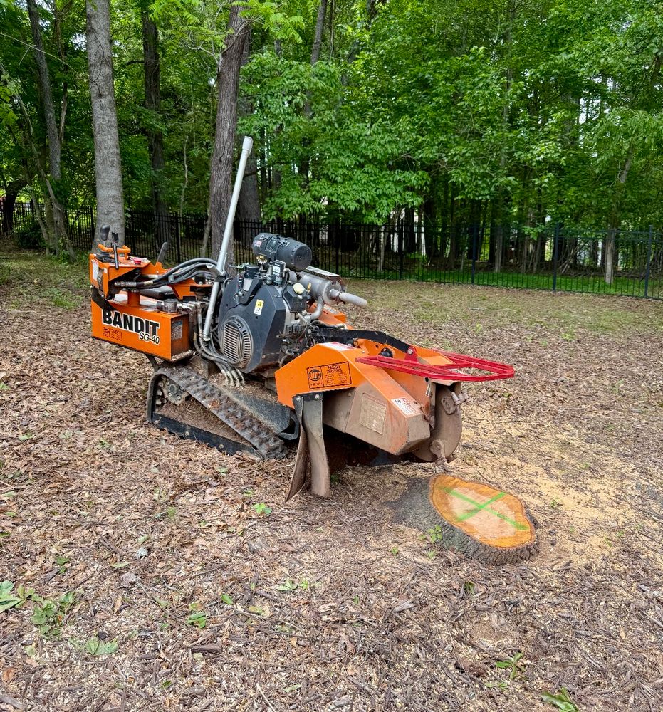 All Photos for Clear Tree Land Solutions in Dawson County, GA