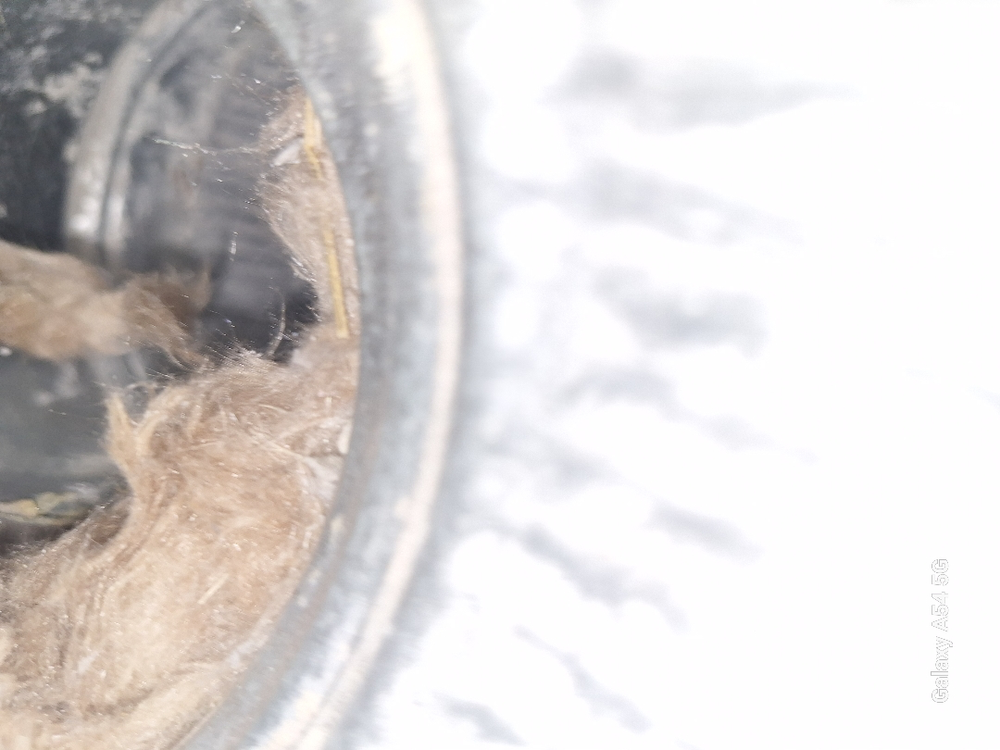 All Photos for Soapy Suds Services in St. Charles, IL