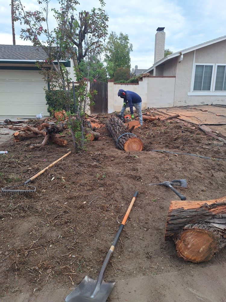 All Photos for Best Lawncare in Colton, CA