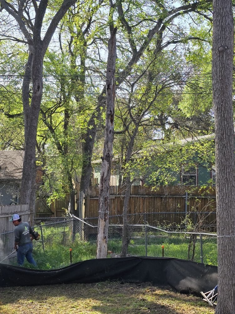 All Photos for Green Pastures Lawn Care in Bastrop, TX