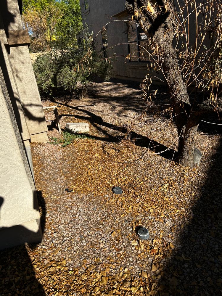 All Photos for Good Hands Landscape in Maricopa, AZ