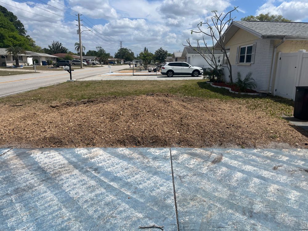 All Photos for Busy Beaver Stump Removal, Inc in Clearwater, FL