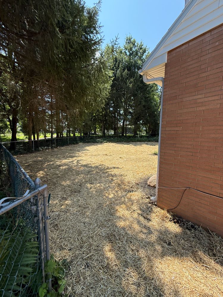 Landscaping for Kunkle & Sons Property Maintenance in Akron, OH