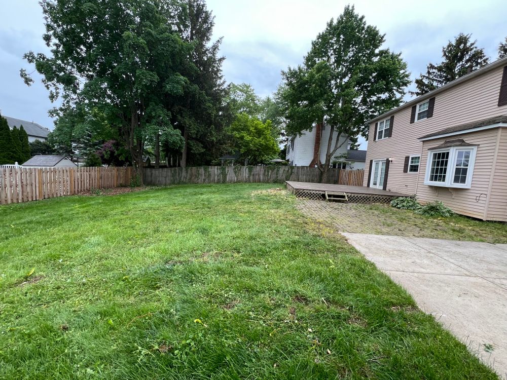 All Photos for Down To Earth Tree Service, LLC in Olmsted Falls, OH