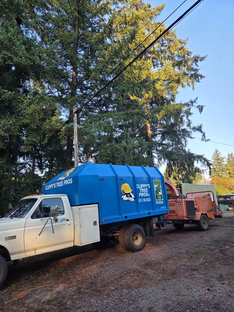 All Photos for Clippys Tree Pros in Stayton, OR