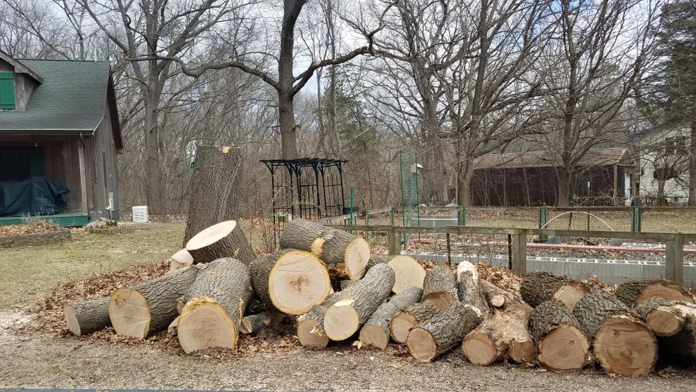 All Photos for O&O Tree Service in Rockford, IL