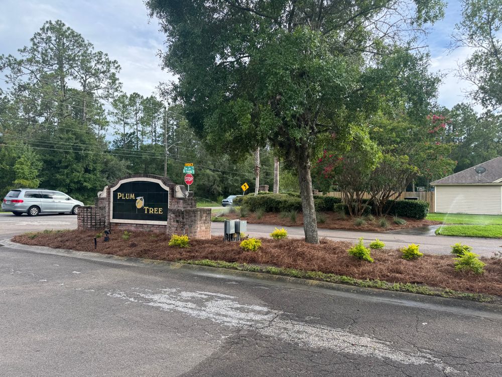 All Photos for Pro Designs Landscaping in Jacksonville, FL