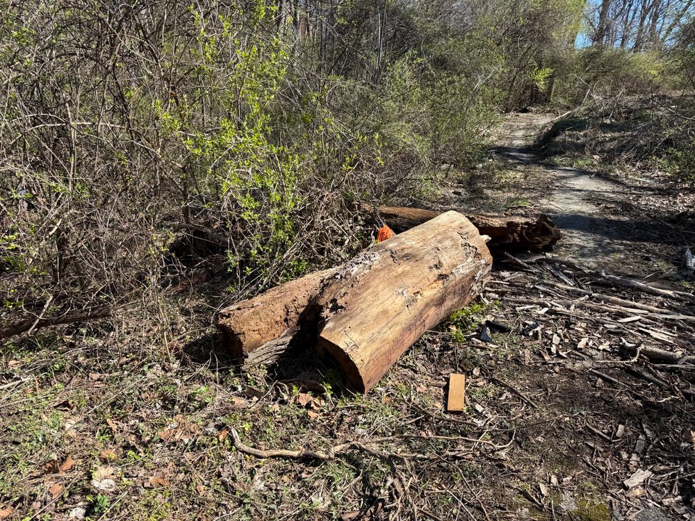 All Photos for A1 Bush Hogging & Lawn Service in London, OH