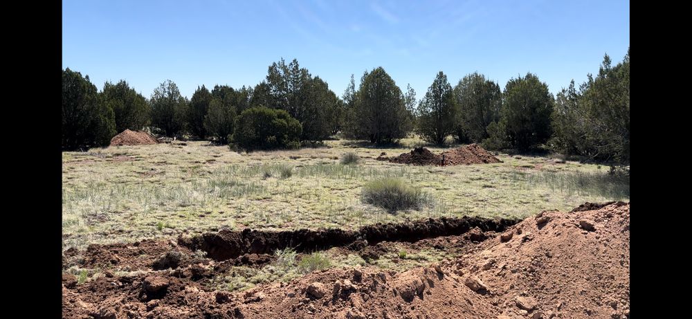 Our Land Clearing services efficiently prepare your property for new projects, removing unwanted vegetation to create a clean slate while ensuring safety and minimal environmental impact. for S&D Excavations in Ash Fork, AZ