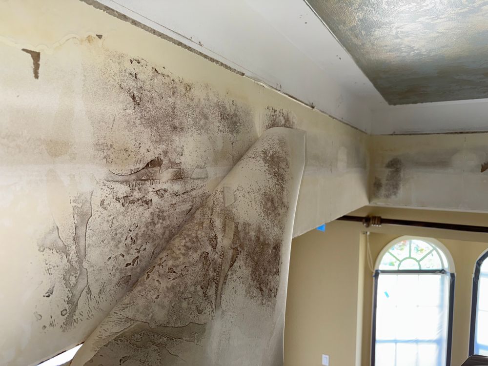 All Photos for N&D Restoration Services When Disaster Attacks, We Come In in Cape Coral,  FL