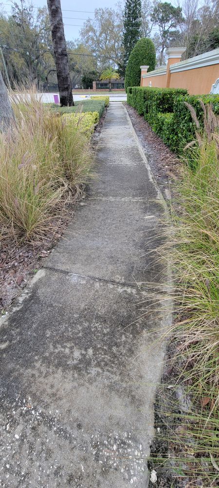 All Photos for Blue Stream Roof Cleaning & Pressure Washing in Tampa, FL