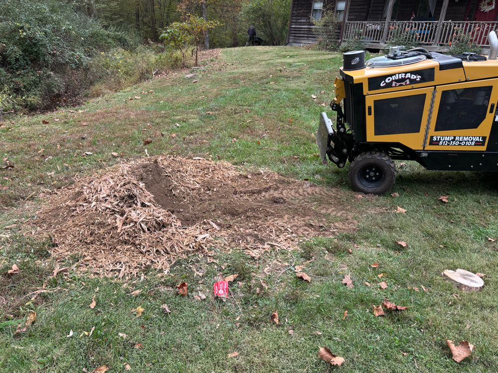 All Photos for Conrad's Stump Removal in Columbus, IN