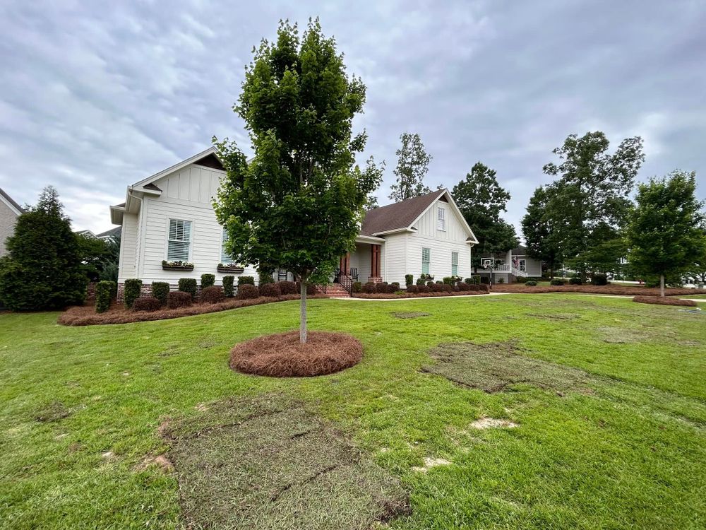 All Photos for Trophy Outdoor Solutions in Lexington, SC