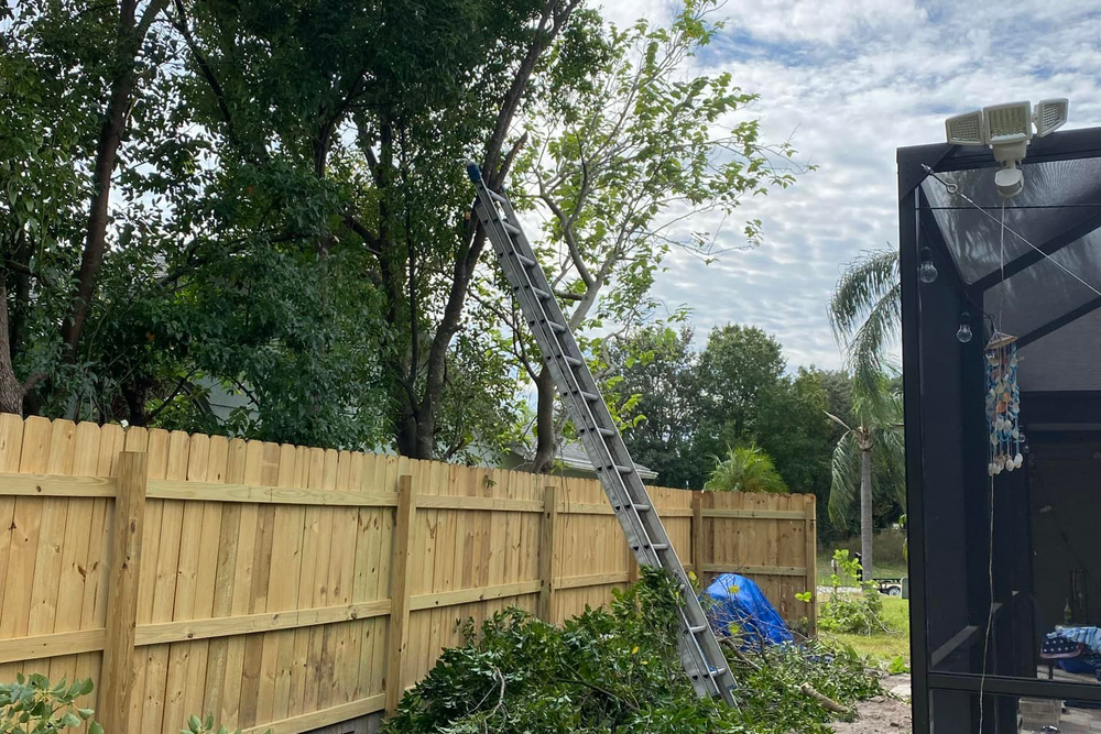 Tree Trimming  for Verimay's Garden and Landscaping in Hillsborough County, FL