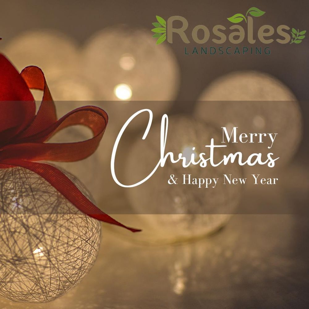 Tree Removal for Rosales Landscaping LLC in Lake Gaston, North Carolina